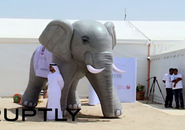 شاهد: دفن 20 مليون دولار في التراب حفاظاً على الفيلة في دبي