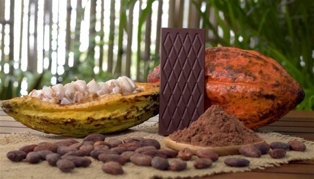 هل تختفي الشوكولاتة بعد أزمة ارتفاع سعر الكاكاو؟