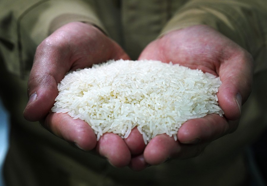 هل يقترب العالم من مجاعة جديدة وموجات غلاء عالمية؟