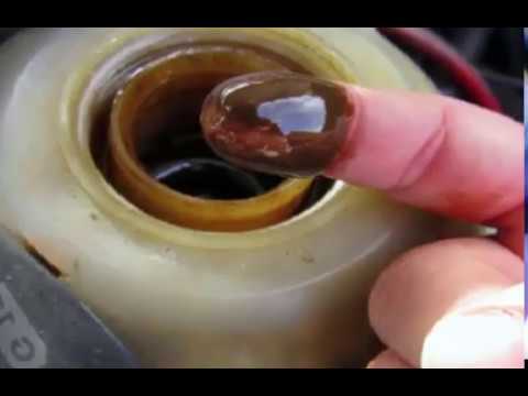 بالفيديو .. شرح أسباب اختلاط الزيت بالماء في محرك السيارة و الحلول
