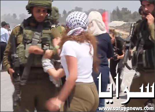 بالفيديو .. فتاة تهاجم جنود الاحتلال بكل شجاعة 