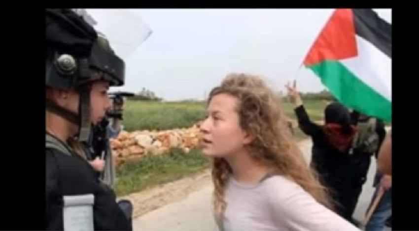 بالفيديو  ..  عهد التميمي بين الأكذوبة والحقيقة