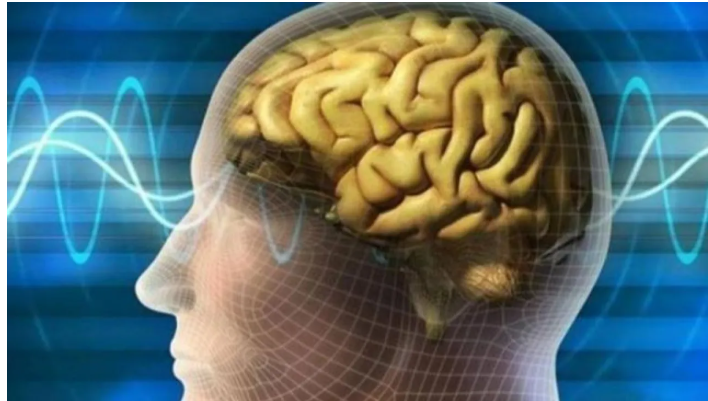 هل يخدعنا دماغنا؟ الإنسان يرى العالم كما كان قبل 15 ثانية
