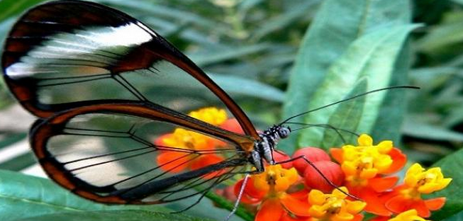 إبداع الله في الكون قال الله تعالى