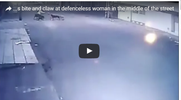 بالفيديو: امرأة تتعرض لهجوم شرس من مجموعة كلاب
