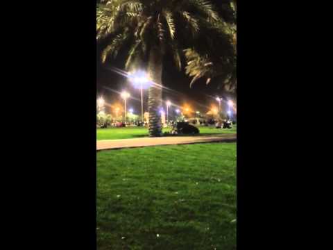 بالفيديو ..  رجل يصلي وراء امرأة في حديقة عامة  