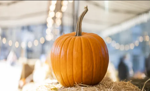 اليقطين ..  غذاء مفيد أم ناقل خفي للسموم؟ 