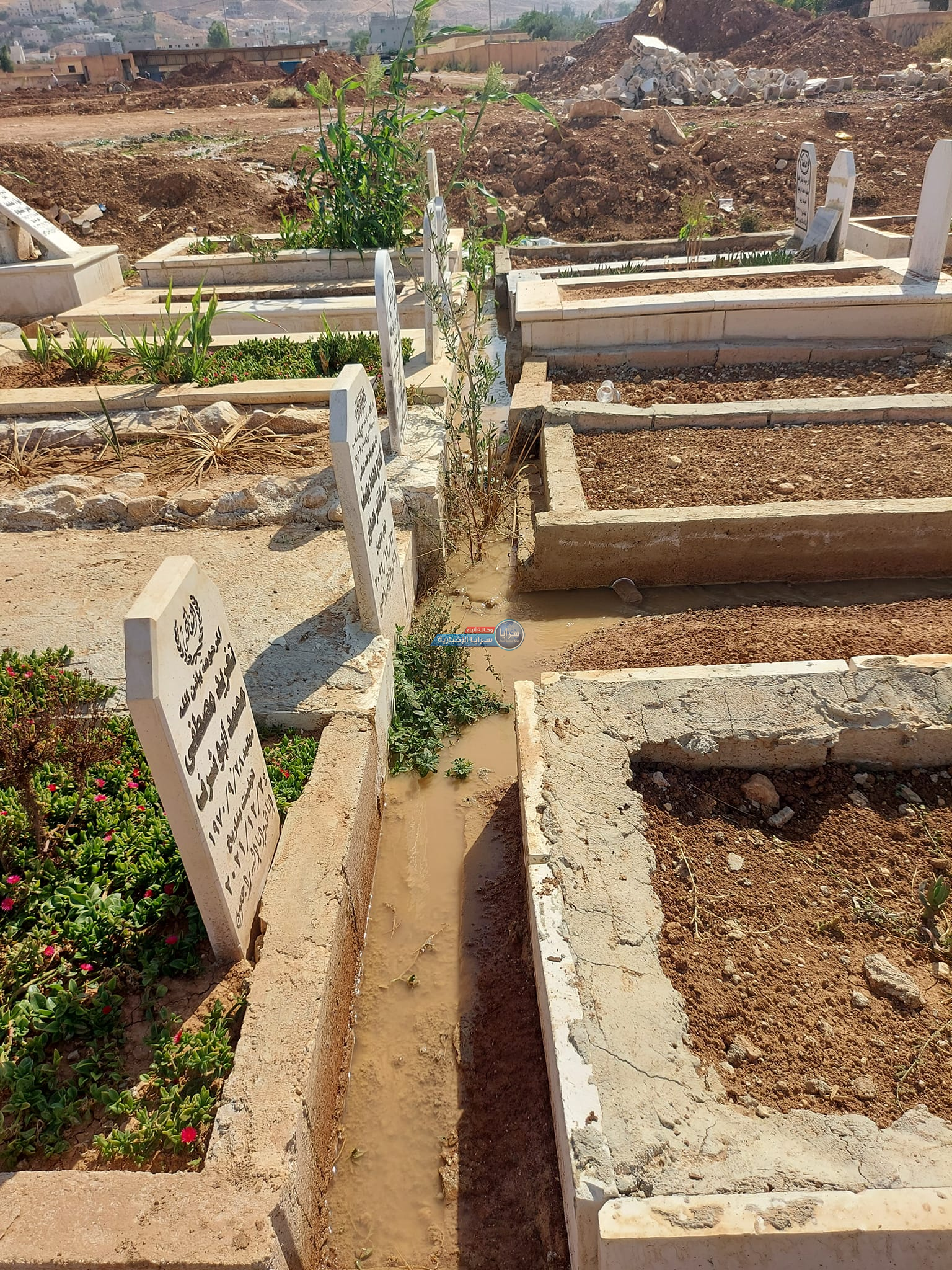بالفيديو والصور .. قبور تَغرق بالمياه في مقبرة موبص بمنطقة عين الباشا