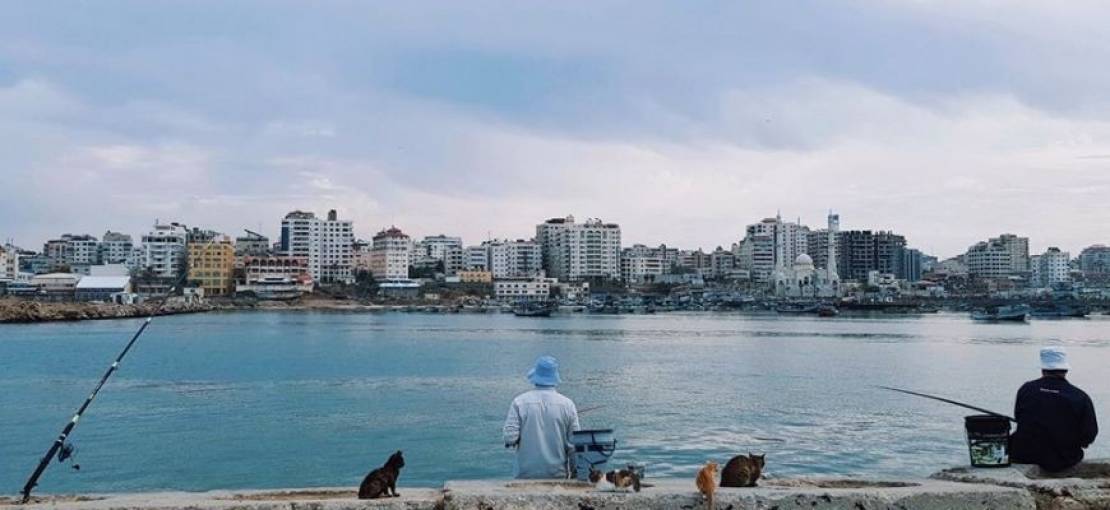 أجواء معتدلة وانخفاض على درجات الحرارة في فلسطين 