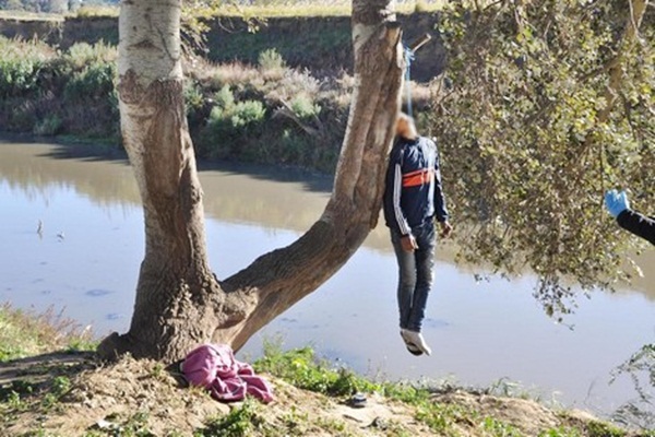 العثور على جثة شاب ثلاثيني معلقه على شجرة في عجلون
