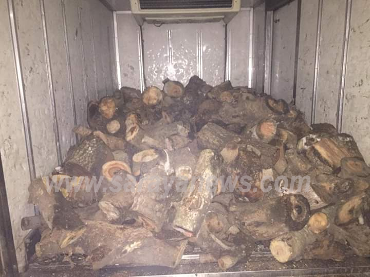 ضبط مركبة بداخلها نصف طن احطاب حرجية في المفرق