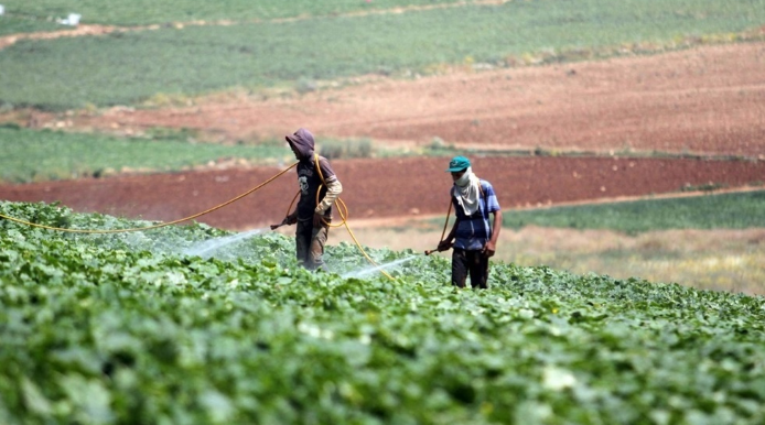 مشروع لمساعدة المزارعين على الصمود ومواجهة التغيرات المناخية