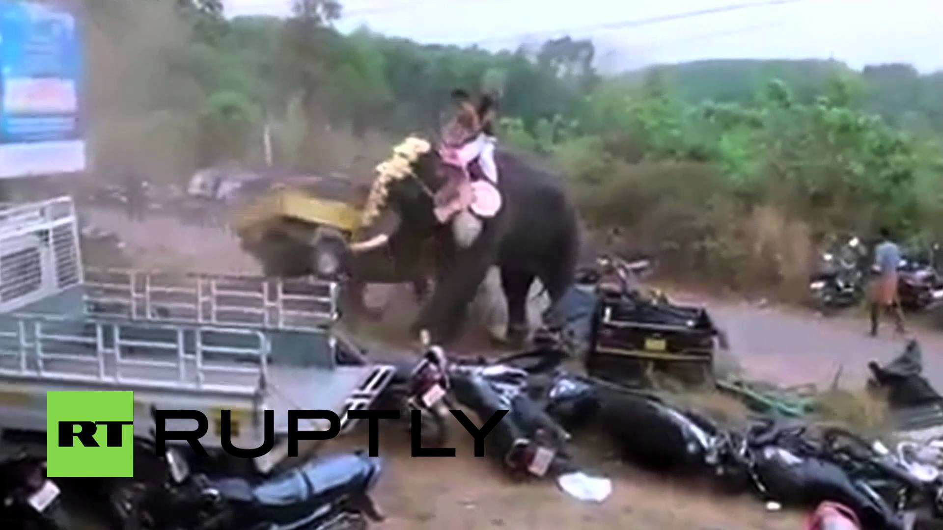 بالفيديو  ..  فيل هائج يحطم كل ما يجده أمامه في الهند