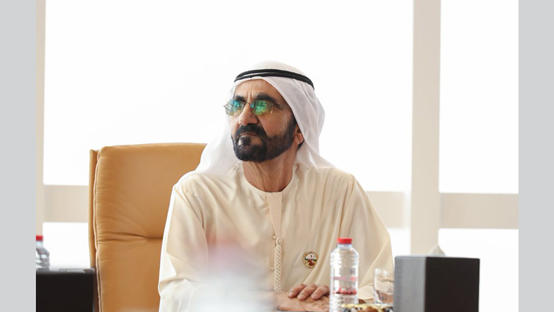 الإمارات تدمج 50% من الهيئات والوزارات
