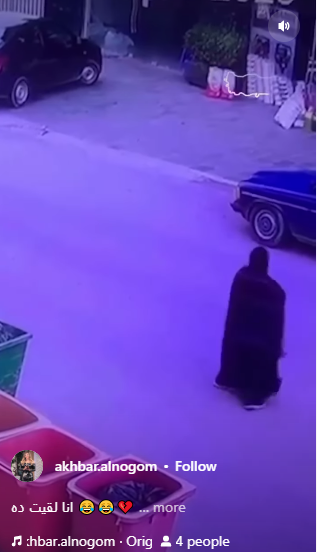 مضحك جدا  ..  سيدة تلقي كيس النفايات بالحاوية ولكن ما حدث لم يكن متوقعا 