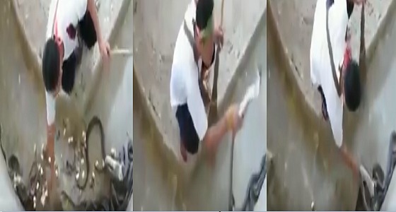 بالفيديو: شاهد أغرب مهنة في العالم تنظف بيوت الأفاعي 