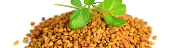 وصفات من الحلبة لعلاج مشاكل الشعر