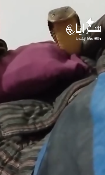بالفيديو ..  أفعى كوبرا مرعبة تقتحم غرفة رجل وتواجهه وجهًا لوجه 