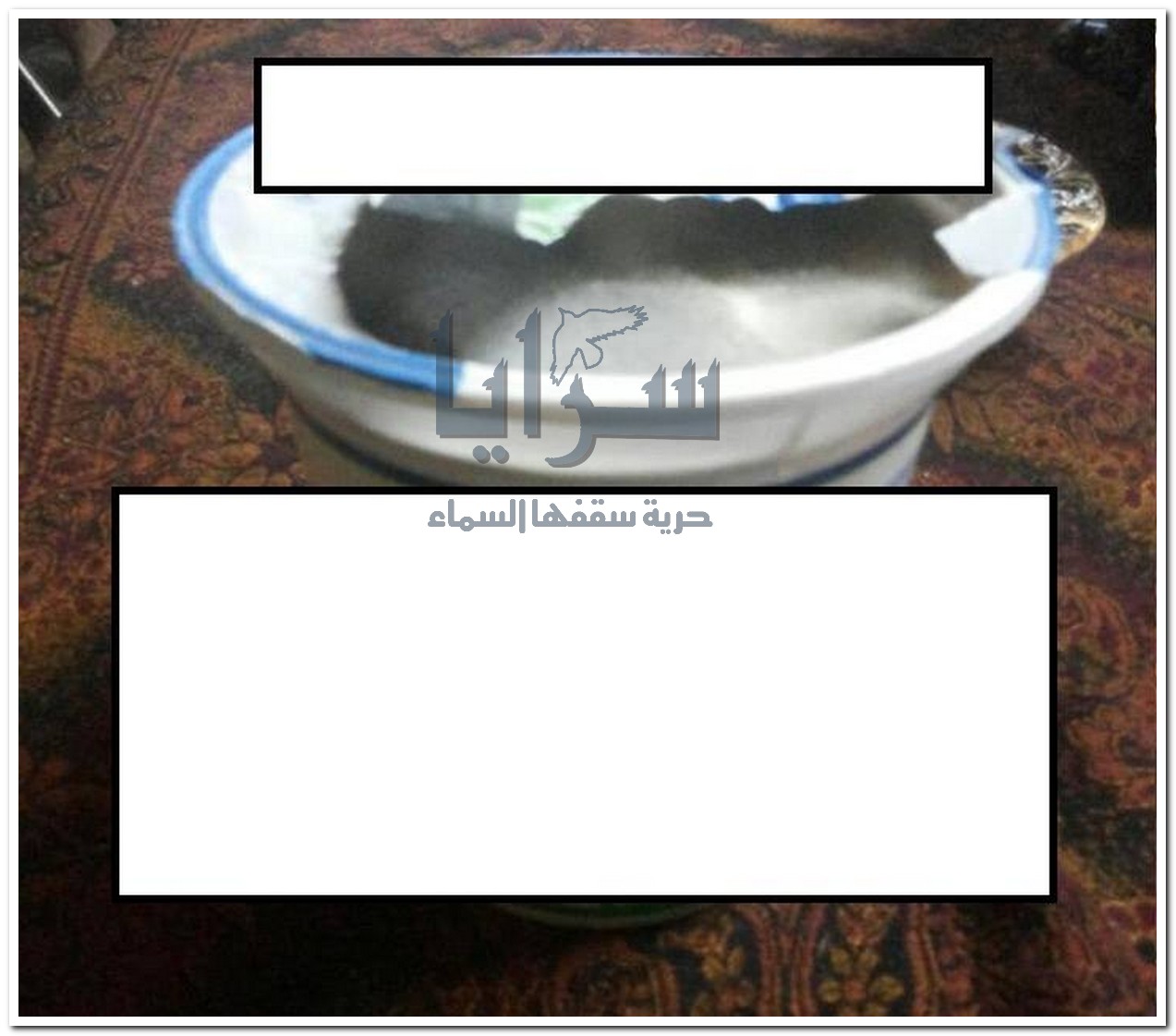 بالصور  ..  عمان : بيع "البان" منتهية الصلاحية  ومتعفنة في طبربور