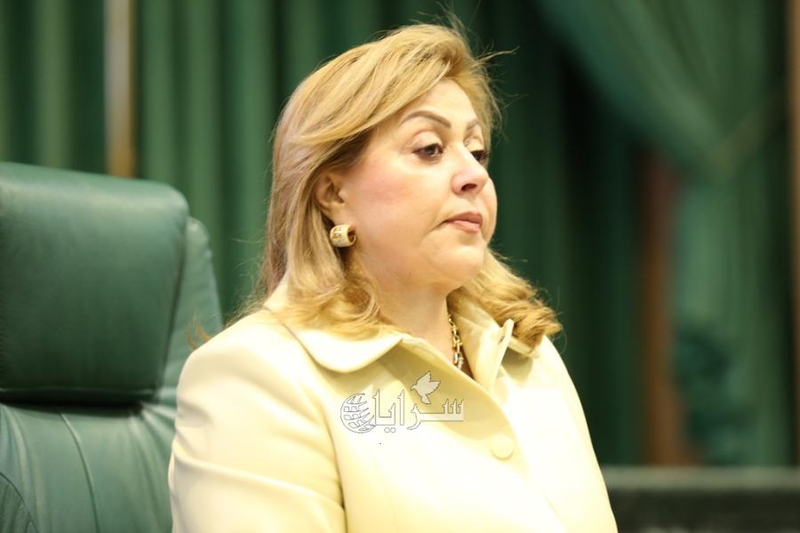 نفاع: هجوم خسيس على الأردن ..  والرد بالأرقام والكرامة
