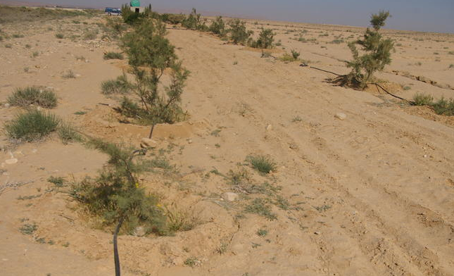 الجفاف سيأكل 25% من مساحة الأردن