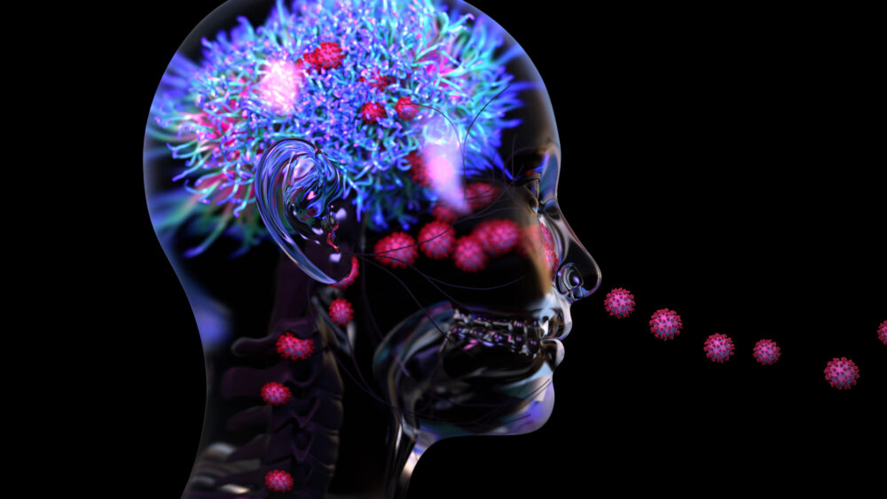 دراسة خطيرة تكشف تأثير كورونا على المخ والذاكرة