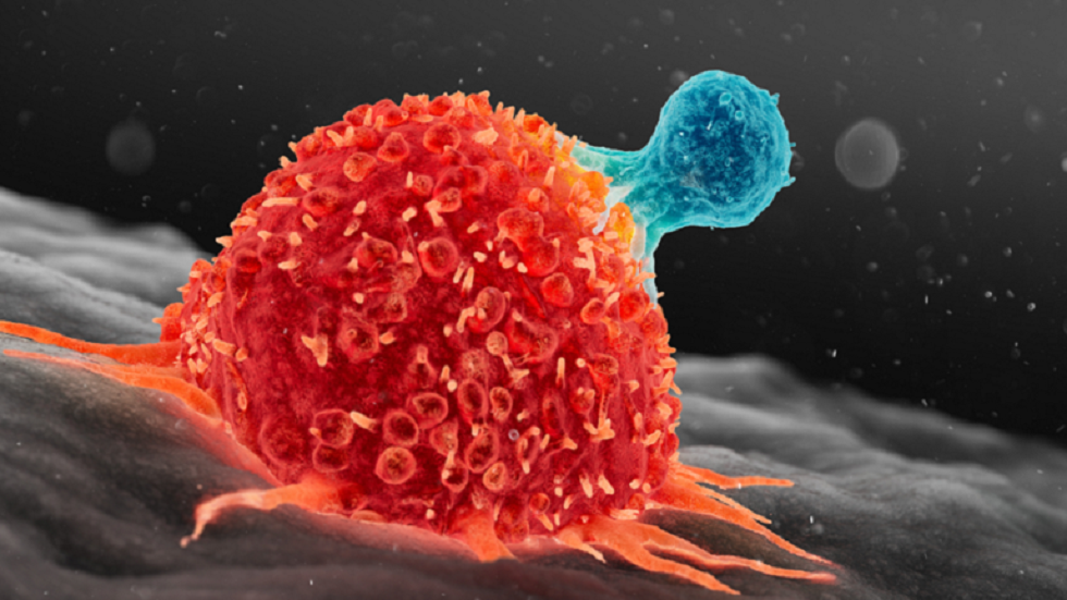 لماذا يصاب الجسم بالسرطان؟ ..  حاول الابتعاد عن هذه العادات السيئة