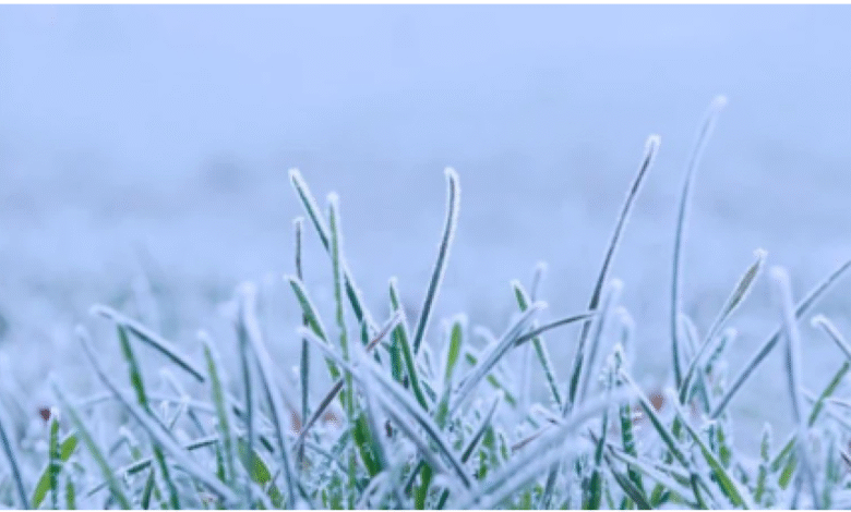 تزايد تأثر المملكة بالمرتفع السيبيري