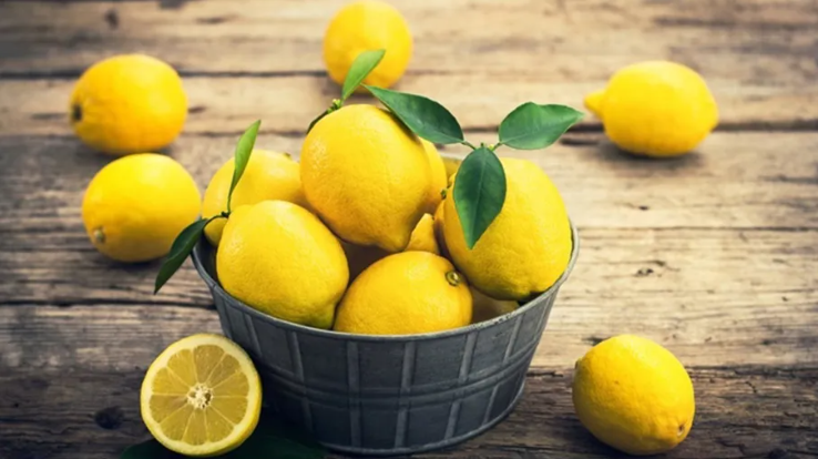 جمعية الحمضيات تطالب بإلغاء استيراد الليمون وفتح تحقيق