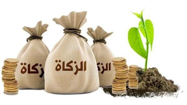كيفية حساب زكاة المال  ..  الأزهر للفتوى يًجيب؟