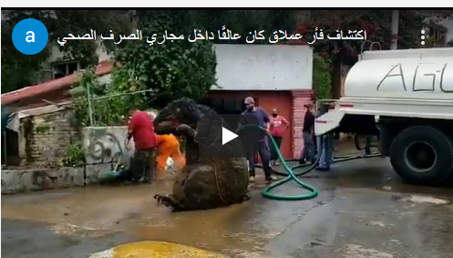 برنامج جديد لضمان سلامة السيارات ذاتية القيادة على الطريق