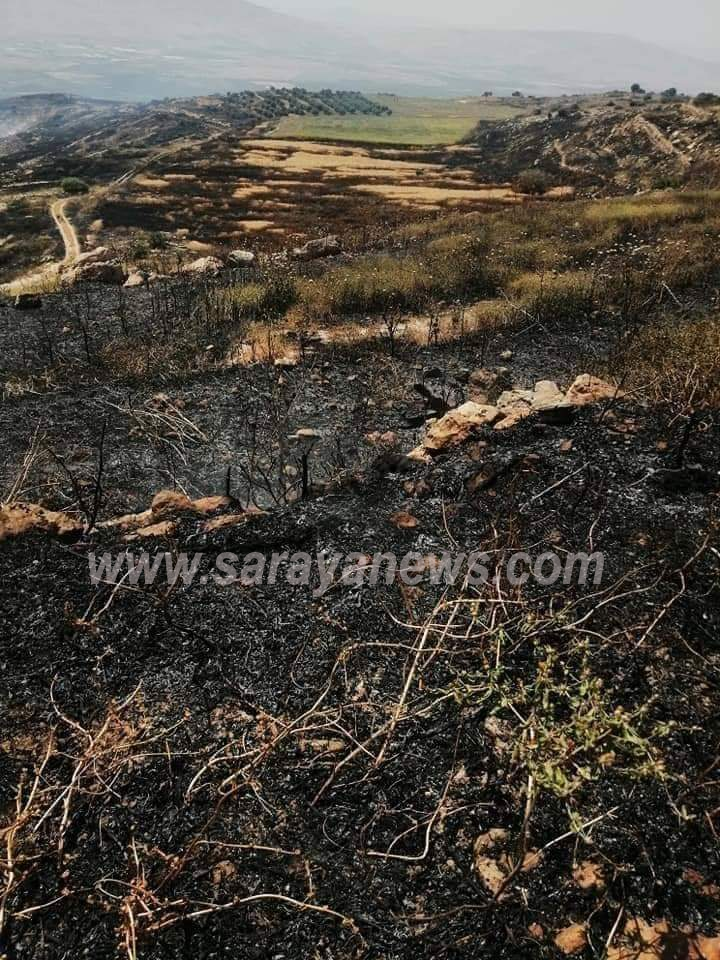 بالصور .. حريق أعشاب ومحاصيل زراعية في اربد