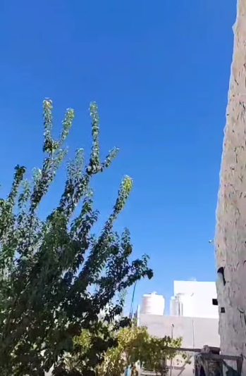 بالفيديو ..  مؤذن مسجد يهرع إلى مكبرات الصوت بعد اطلاق احد الاشخاص عيارات نارية: "اتقي الله يلي بتطخ ..  اتقي الله"