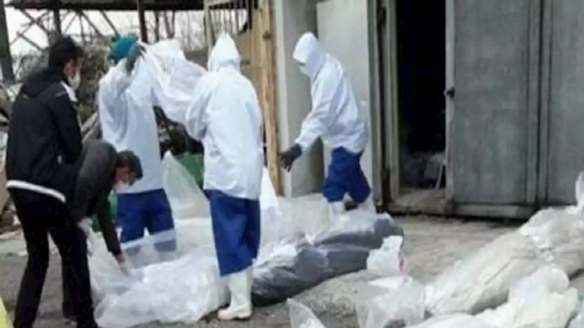 جثث مكدسة في دار مسنين أمريكية يشتبه أنها لمصابين بكورونا