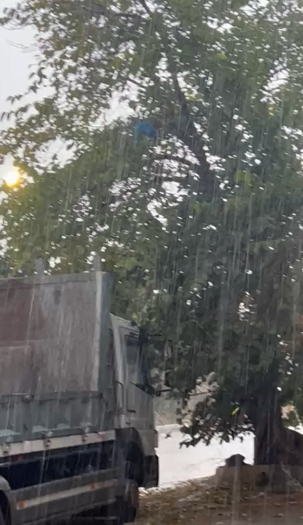  أمطار غزيرة تهطل على مناطق في جنوب الكرك صباح الثلاثاء 