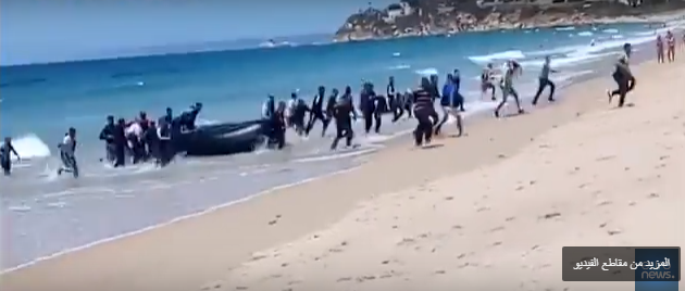 بالفيديو  ..  قارب لاجئين يقتحم شاطئ إسباني ويثير دهشة السياح