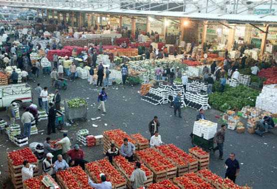 وزيرا البلديات والزراعة يقرران اغلاق سوق العارضة المركزي