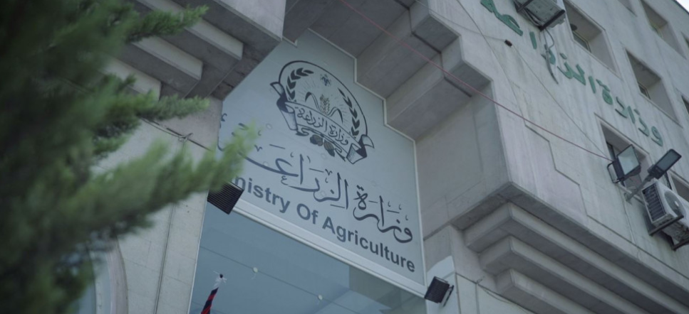 وزارة الزراعة تعرض فرصا استثمارية في القطاع