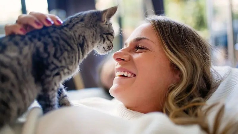 بحث علمي جديد: الإنسان والقطط من ذوي القربى جينياً