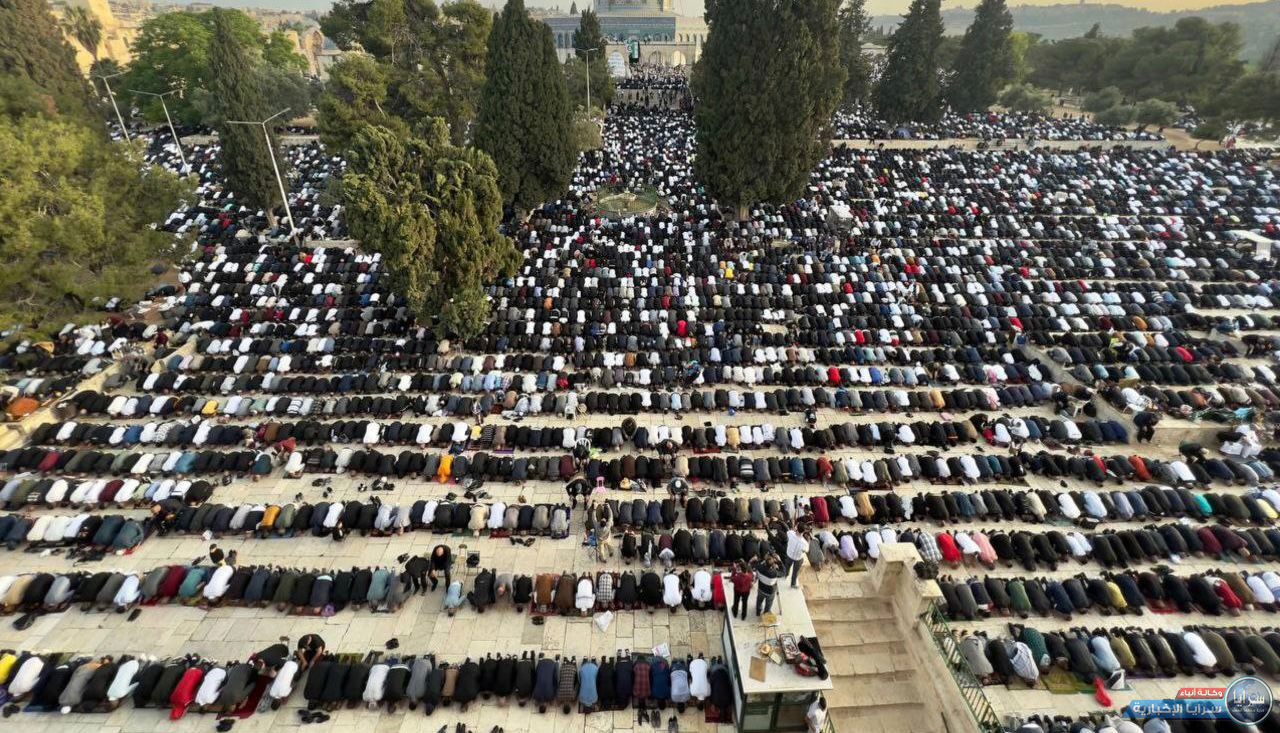 image.php?token=42b22dba1eb86fabad8d08c15f34bac0&size=xxlarge