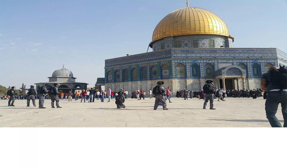 "خارجية النواب" تبحث والصفدي الاعتداءات الإسرائيلية