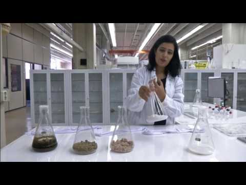 بالفيديو ..  مصممة تحول روث الحيوانات إلى أزياء مميزة و تفوز بجائزة قيمتها مليون دولار