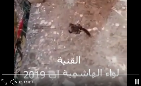 بالفيديو ..  العقارب تهاجم سكان القنية في لواء الهاشمية