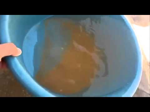 مياه ملوثة تصل الى اهالي معان