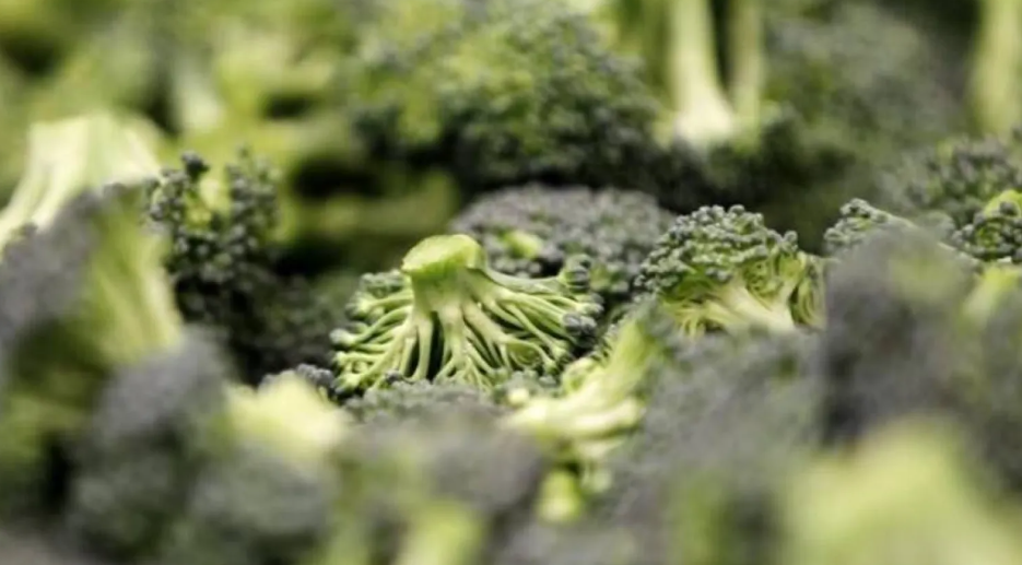 9 أطعمة لتعزيز صحة الدماغ والحد من خطر الخرف