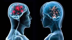 دراسة تكشف الفرق بين دماغ الرجل و المرأة