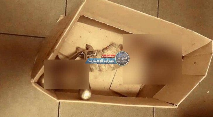 بقايا عظام بشرية في النفايات تثير الذعر في لبنان