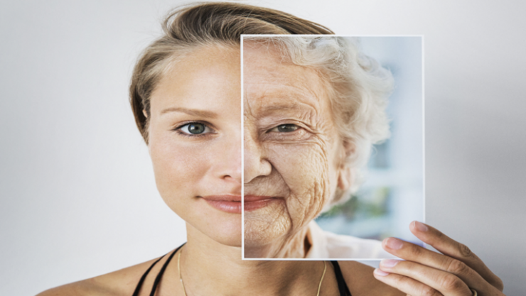 علماء يعتقدون أنه يمكننا 'تأخير' عملية الشيخوخة ..  فإلى أي مدى يمكن الوصول بالفعل؟!