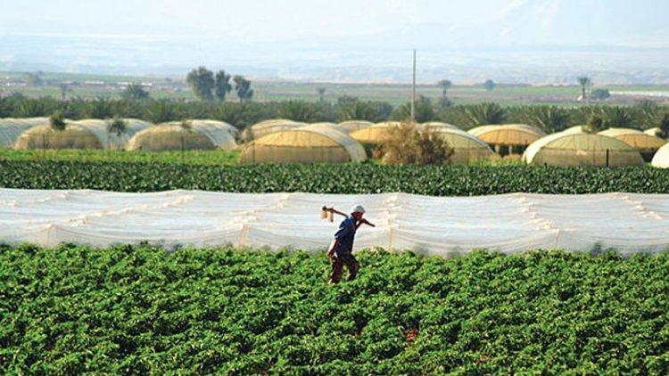 منحة بـ10 ملايين يورو للقطاع الزراعي الأردني