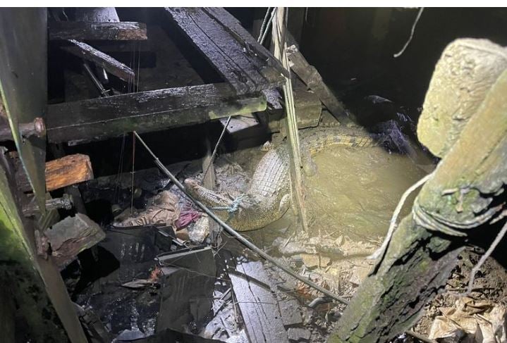 لن تصدق ماذا وجدت عائلة ماليزية أسفل منزلها